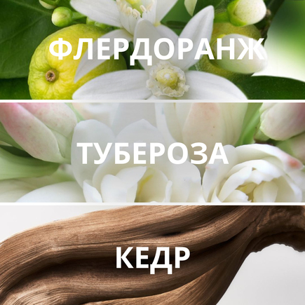 FLUIDES White Flowers & Cedarwood, парфюмерная вода, 1,5 мл